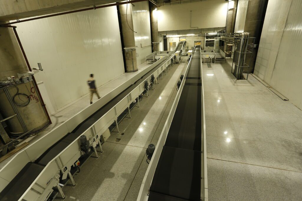 belt sorter