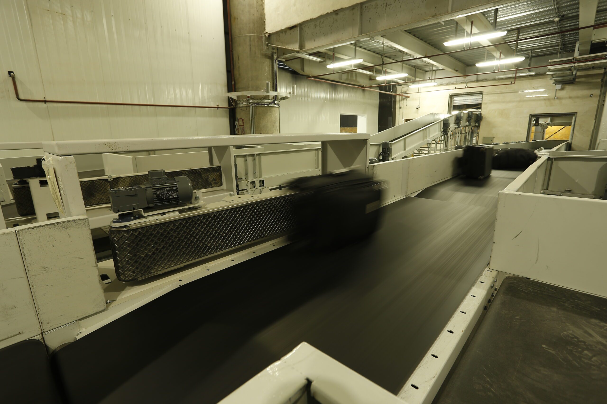 belt sorter